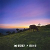 M.R.Y麦尔彦 - 山鸡变不成凤凰