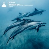Titron - Green Oil (Joe Le Blanc Remix)