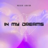 Roger Junior - In My Dreams