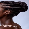 Wayne Gorbea《Alago Ancestral》[MP3/LRC]