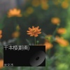 张文杰 - 千本樱