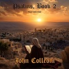 John Colleoni《Psalm 42 (Instrumental Version)》[MP3/LRC]