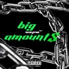 WAYNE - Big Amounts (Explicit)