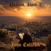 John Colleoni《Psalm 42 (Why Cast Down Soul?)》[MP3/LRC]