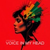 Oleg Xaler、Bassienda - Voice In My Head