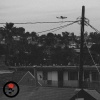 Antwon - 100K (Explicit)