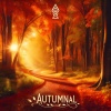 Dark Rehab - Autumnal (Radio Edit)