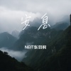 NEIT张羽桐 - 安