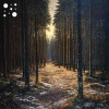 SoundScape Studio、Study Time - Whispering Meadow Reflection