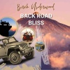 Birch Underwood、Sinewave Sinatra - Back Road Bliss