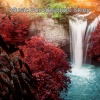 Music For Absolute Sleep、Music and Sleep、Deep Sleep Music Academy - Depressing Rain Sounds An Emotional Piano