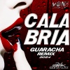 Dj Mon8、Erik Gonzalez - Calabria Guaracha 2024