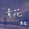 素衣 - 青花