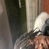 1kidj - savetheday (Explicit)