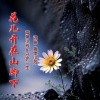 简单小芳、守护一生 - 花儿开在山脚下 (对唱版)