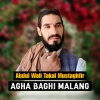 Abdul Wali Takal Mustaghfir - Agha Baghi Malang