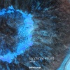 Sapphirine Phlant - Oscion