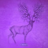 Bruno Messner - Transformations