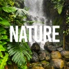 Sleep Sounds of Nature、Nature Sounds Nature Music、Nature Sound Collection《The Beach Life》[MP3/LRC]