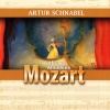 Artur Schnabel - I. Allegro