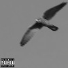 Punch - Faucon Beige (Explicit)