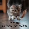 Cats Music Zone、Rilassa la musica dei gatti、Musica gatti、Cat Music!、Sleepy Cats! - Sussurri Felini