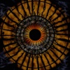 Ermias Lyons - Circular