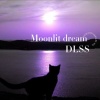 DLSS《Moonlit dream》[MP3/LRC]