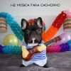 Música para Cachorro!、Hz Música para Cachorro、Música para cães!、Música para animais de estimação、Dog Music! - Frequências Calmantes