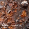Chronophone - Complexe de Deep