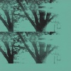 downey's perfect life、Wowflower、The Field Tapes - i'm in my nest, in my past