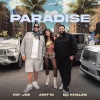Fat Joe、Anitta、DJ Khaled - Paradise (Explicit)