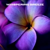 Ruído branco、Música De Relajación Para Dormir Profundamente、Musica relajante dormir - Whispering Breeze (Loopable, No Fade)