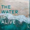 Judah Collective、S&V - The Water Is Alive