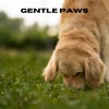 Chiens relaxation profonde、Puppy Music、Music For Dogs Peace、Relaxing Music for Dogs《Gentle Paws (Loopable, No Fade)》[MP3/LRC]