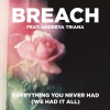 Breach、Andreya Triana - Everything You Never Had (We Had It All)