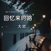 大欢《回忆来时路》[MP3/LRC]