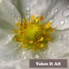 Coco lea、Sandy Lee - Takes It All