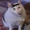初生 - 孤高之人の曼波 (魔怔曲)