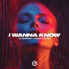 DJ Dimixer、Serge Legran - I Wanna Know