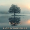Rita Chakram - River of Whispers