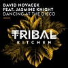 David Novacek、Jasmine Knight - Dancing at the Disco