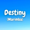 Kayhin - Destiny (Marimba)
