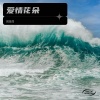 倪金茂 - 爱情花朵