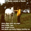 Henri Nigro - Musta Loved A Storm