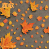 Garmi钙米 - 悲歌