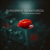 Relaxantes Natureza Zona - A paz começa no coração