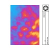 Asc3nd、inthisworld、saaaaad red - HOT TO GO! (DnB)
