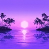 Purple Disco Machine、Metronomy - W.T.P