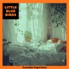 Little Blue Birds - Serenade for the Daybreak